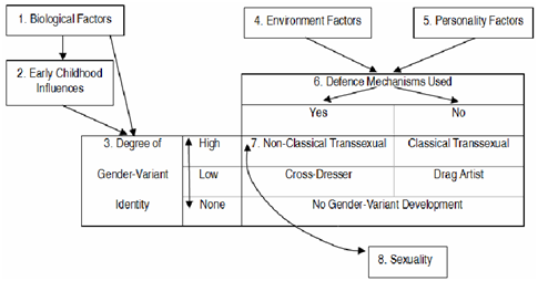 그림 3- 젠더변이 발달의 Identity-Defence Model에서 원인요이들을 나타내는 Diagram,