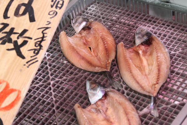 후쿠시마현에서 판매 중인 생선[연합뉴스 자료사진. 재판매 및 DB 금지]