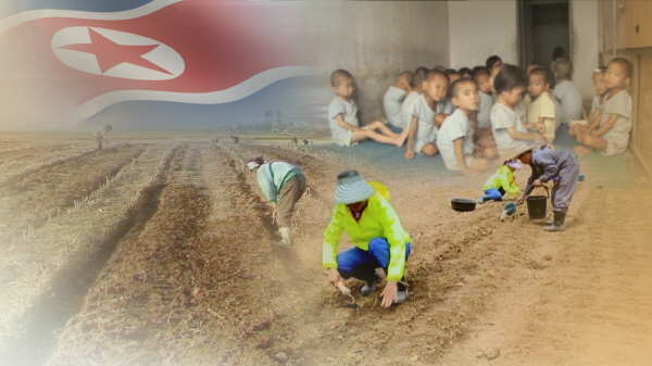 북한 식량난(CG)[연합뉴스TV 제공]